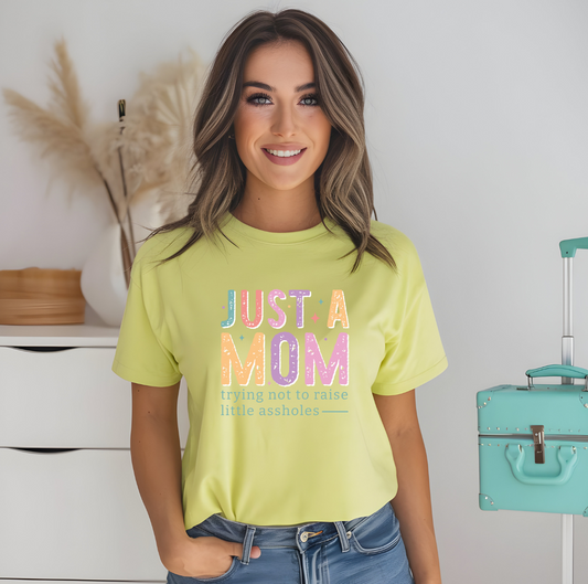 Just a Mom